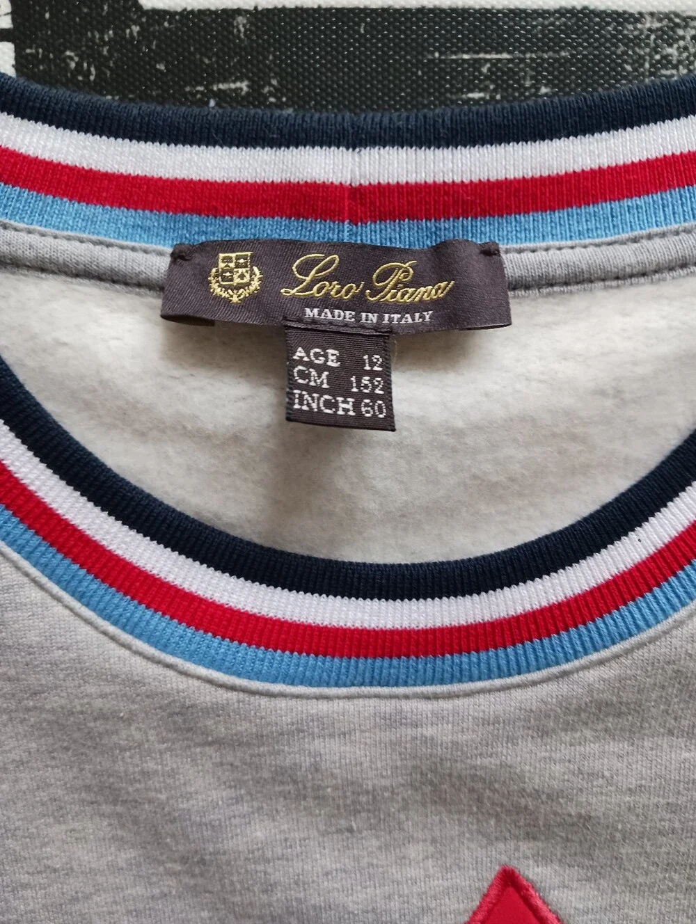 Boys LORO PIANA SET- Sweatshirt And Sweatpants Size Age 12.